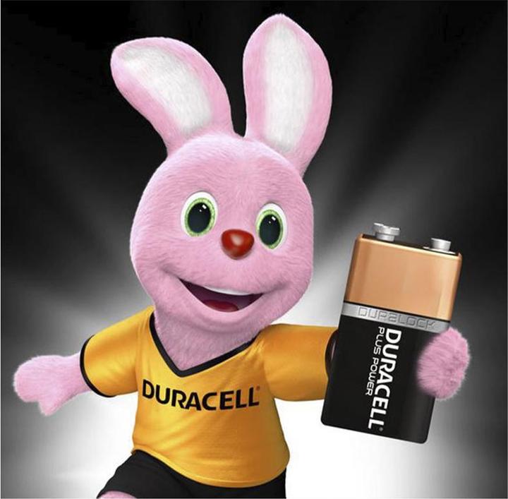Actual product image Duracell Plus (1 pcs., 9V Block)