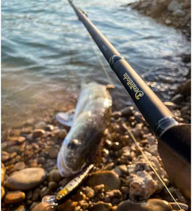 Image du produit Stucki Fishing Dentellada (Canne à lancer, 245 cm)