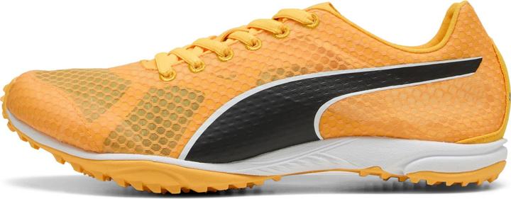 Produktbild Puma evoSPEED Haraka 8 Unisex Spikeless (45)