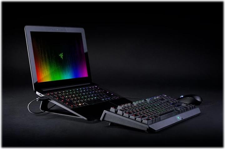 Actual product image Razer Laptop Stand