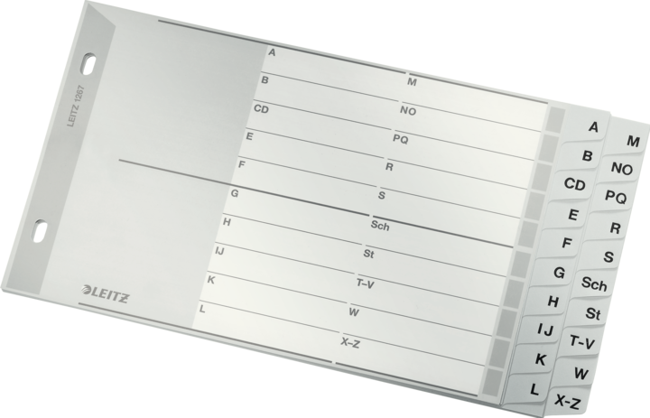 Produktbild Leitz Register PP grau