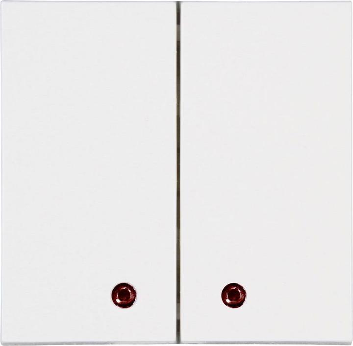 Blanc pur, RAL 9010 (satiné)