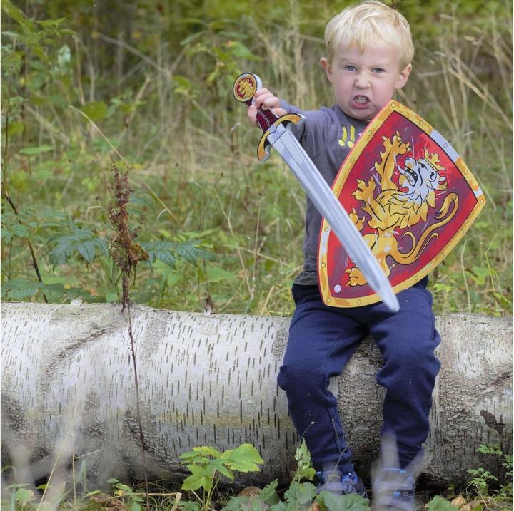 Immagine prodotto Liontouch Nobile cavaliere giocattolo con spada e scudo, rosso