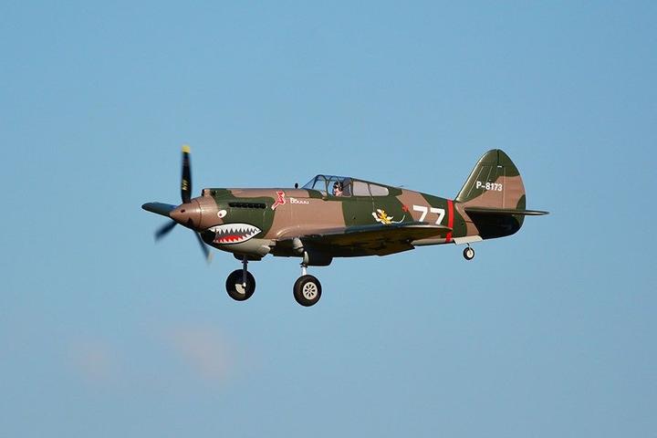 Actual product image FMS p-40b curtiss warhawk flying tiger pnp - 98 cm - - combo incl. reflex gyro system (Warbird)