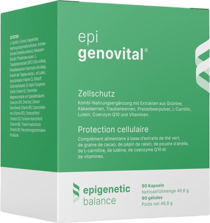 Actual product image Epigenovital more swing fit and active 90 caps (90 Piece, Capsules, 86 g)