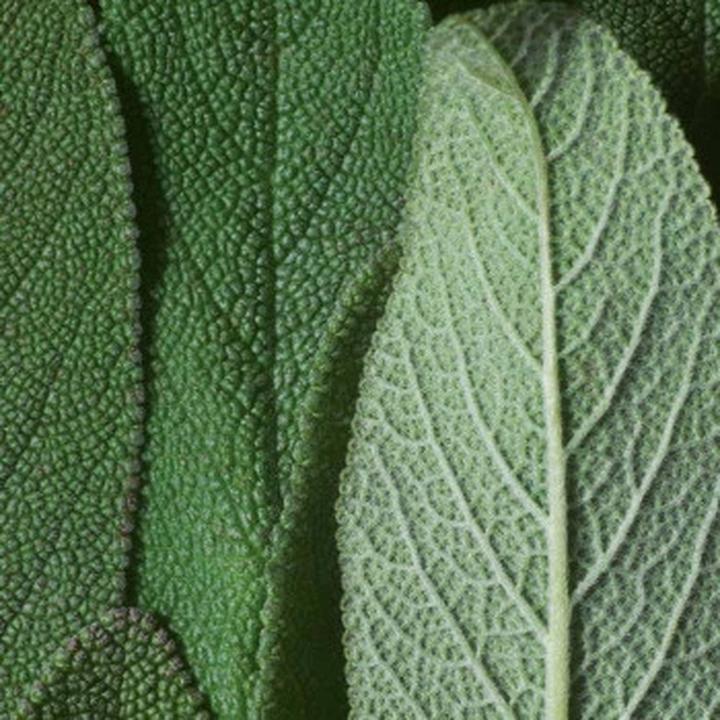 Image du produit Dr. Hauschka Poudre bronzante 01 Bronze (01 Bronze, Contour, 10 g)