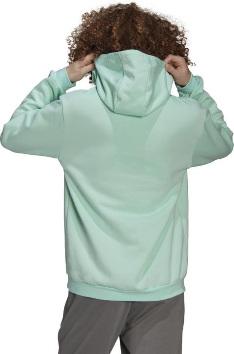 Produktbild adidas Vyriška sweatshirt Entrada 22 Hoody mint HC5081 (XL) (XL)