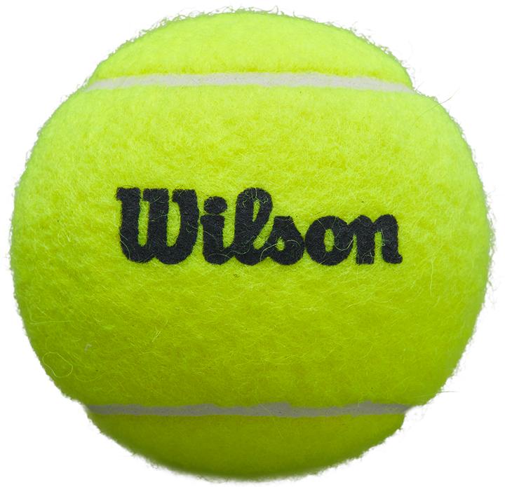 Actual product image Wilson Premier (3x)