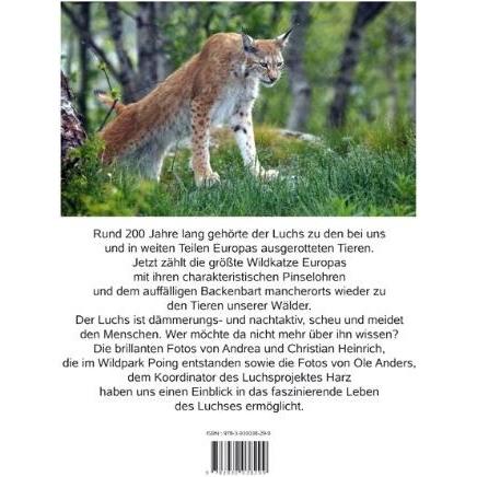 Thumbnail - Luchse in unseren Wäldern, Sachbücher von Andreas Fischer-Nagel