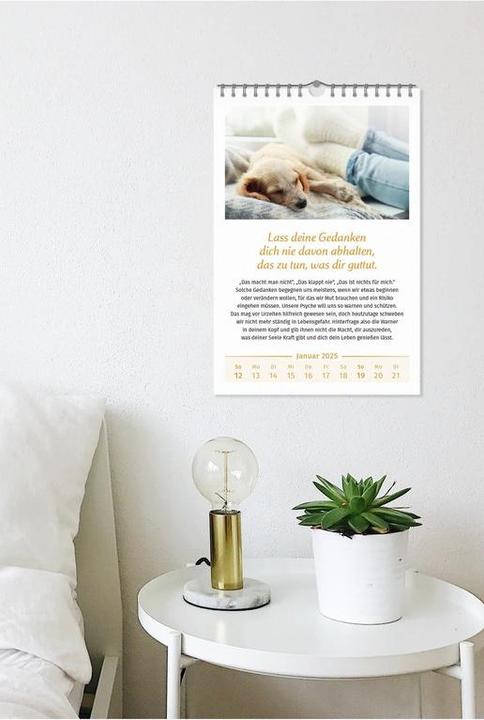 Immagine prodotto Il calendario della gioia di vivere (Nessuna rilegatura, Tedesco)