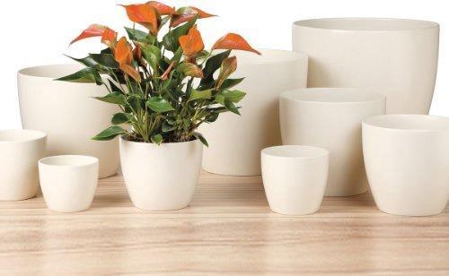 Actual product image Scheurich Ceramic planter (28 x 25.20 cm)