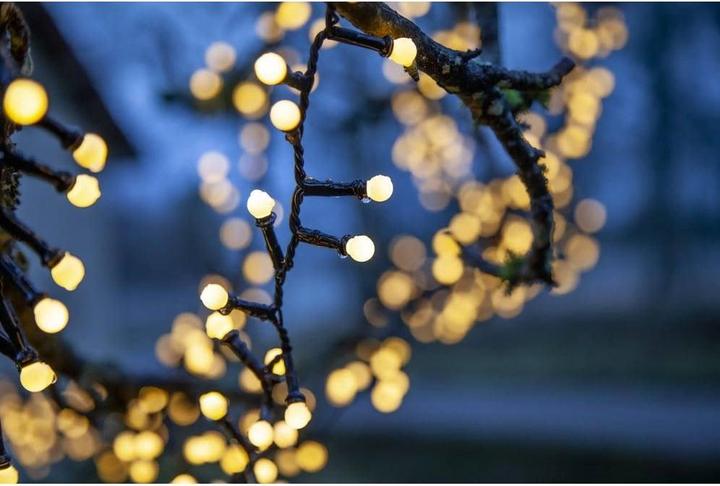 Actual product image Star Trading Berry Mini (19 m)