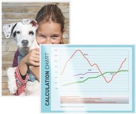 Actual product image Leitz Laminating film (A3, 100 Piece, 80 µm)
