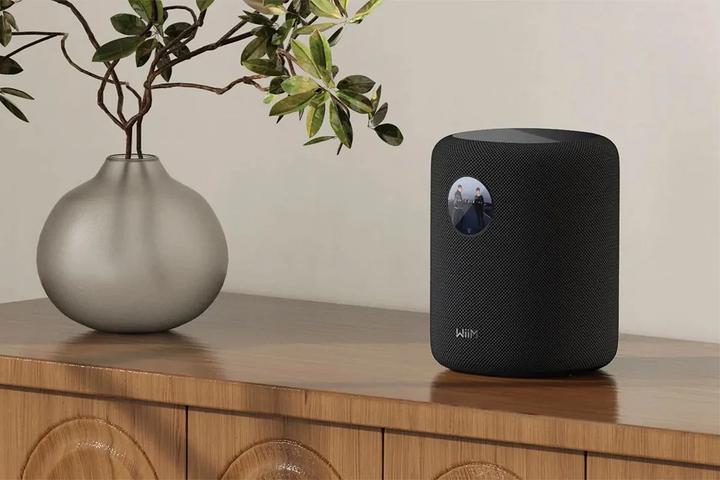 Image du produit WiiM Son (Bluetooth, WiFi)