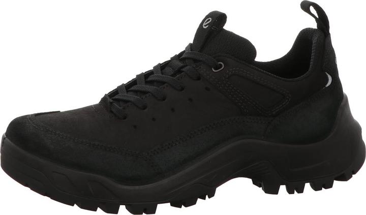 Actual product image Ecco Outdoor shoe OFFROAD (42)