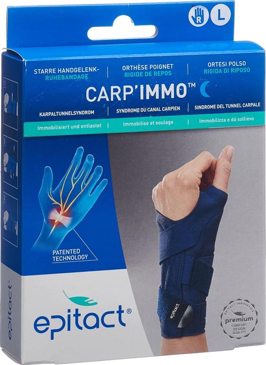 Image du produit Epitact Carp'Immo Rigide L Droite (L)