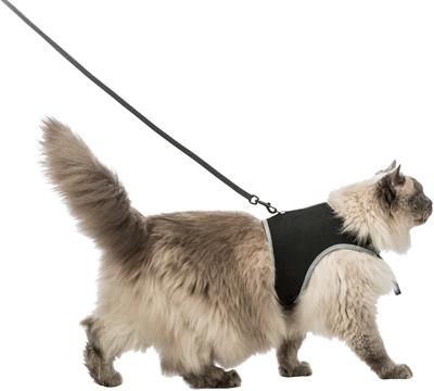 Immagine prodotto Trixie Vita più sicura (XL, Gatto, Generale)