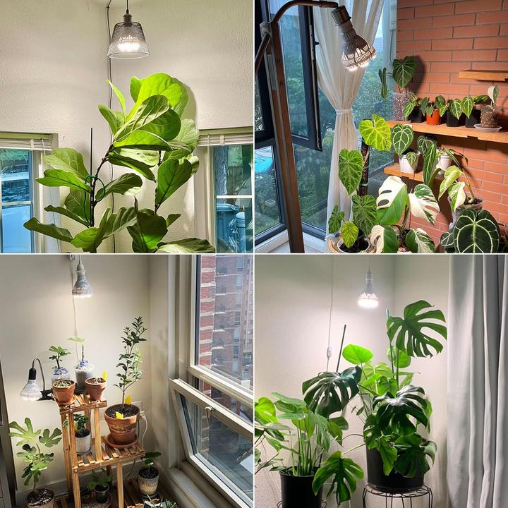 Immagine prodotto Sansi LED Pflanzenlampe Vollspektrum für Zimmerpflanzen (LED)