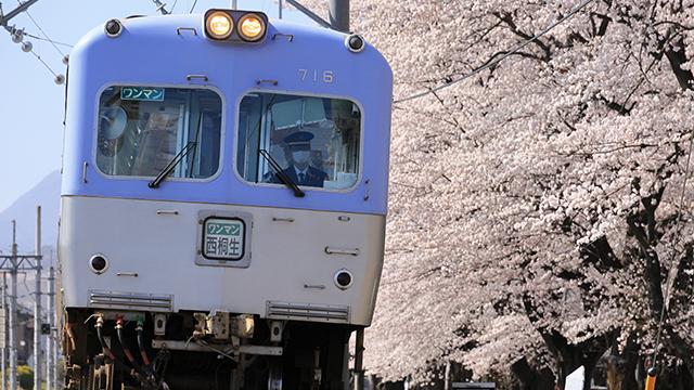 Immagine prodotto Canon RF 24-240mm f/4-6,3 IS USM (Canon RF, Full frame)