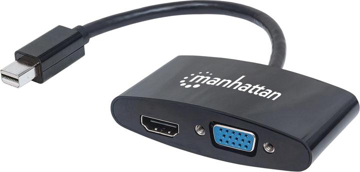 Actual product image Manhattan Video converter (Mini DP, 7.30 cm)