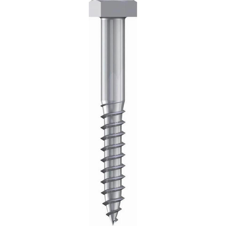 Reisser, Schrauben, Holzschrauben, DIN 571, 6-Kant Kopf, 10,0 x 100, Edelstahl A2, gebeizt, passiviert, verpackt a 50 (5...