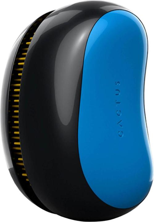 Immagine prodotto Cactus Barbora - Splendore nordico