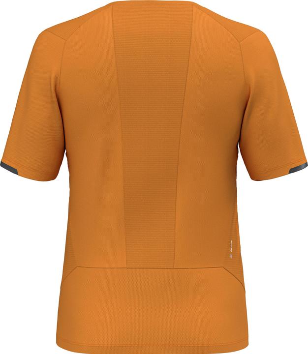 Actual product image Salewa Pedroc Dry Mesh (52, L)