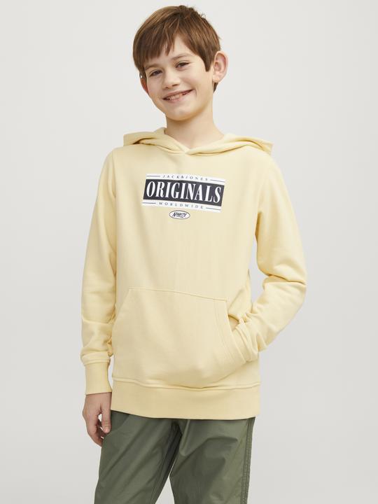 Actual product image Jack & Jones Jorcobin Sweat Hood Jnr (176)