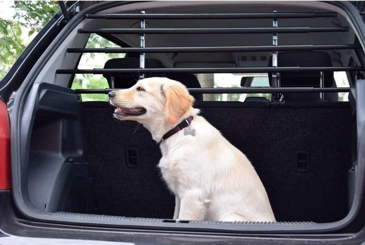 Actual product image Walky Dog Dog guard WALKY Barrier adjustable 82-141 cm (Dog, Reflectors)