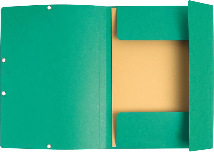 Image du produit Exacompta Chemise à élastique 3 rabats carte lustrée 355gm2 - A4 - Vert (A4, 1 x)