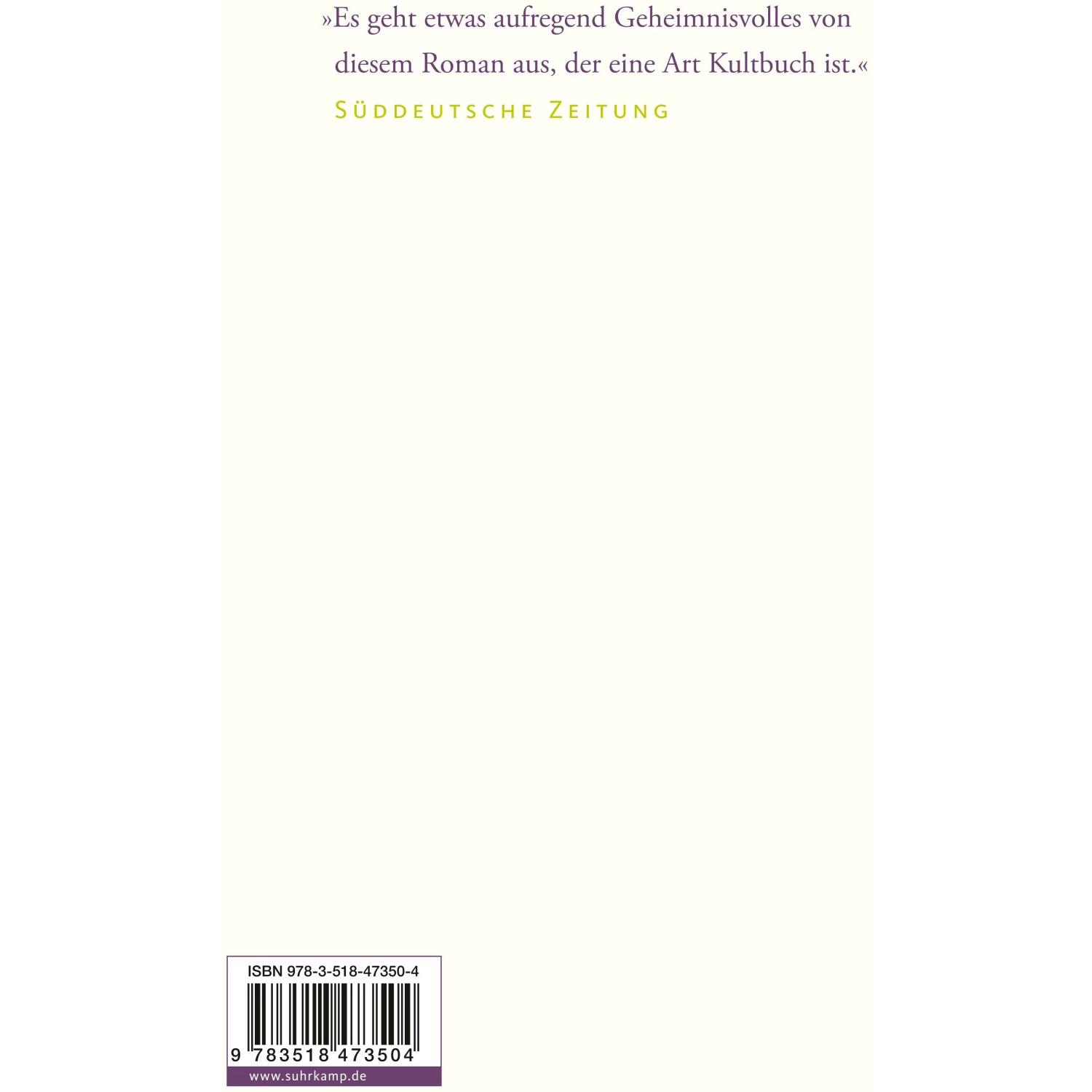 Der Analog, Belletristik von René Daumal