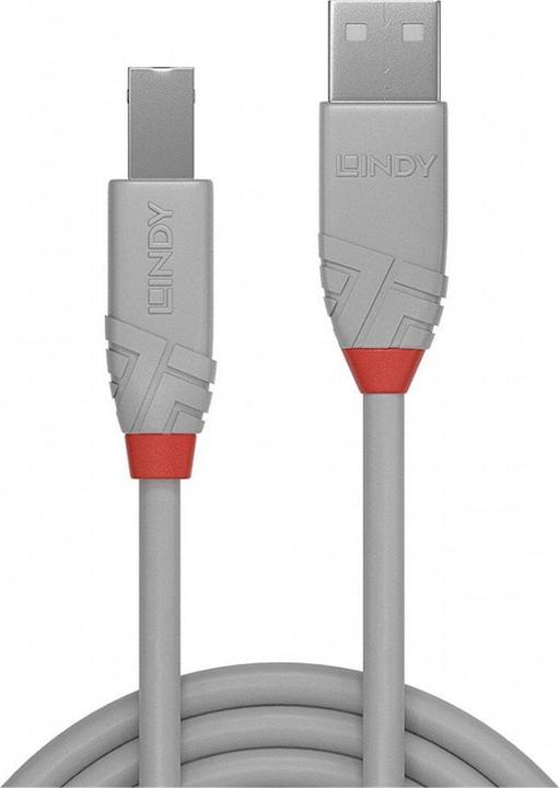 Image du produit Lindy USB A - USB B (5 m, USB 2.0)