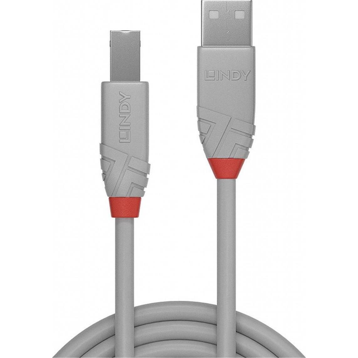Thumbnail - Lindy USB A – USB B (5 m, USB 2.0), USB Kabel