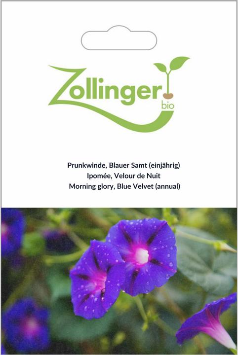Produktbild Zollinger Bio Prunkwinde, Blauer Samt (einjährig) (Pflanzensamen)
