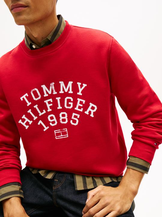 Actual product image Tommy Hilfiger Hilfiger Arch Sweatshirt (M)
