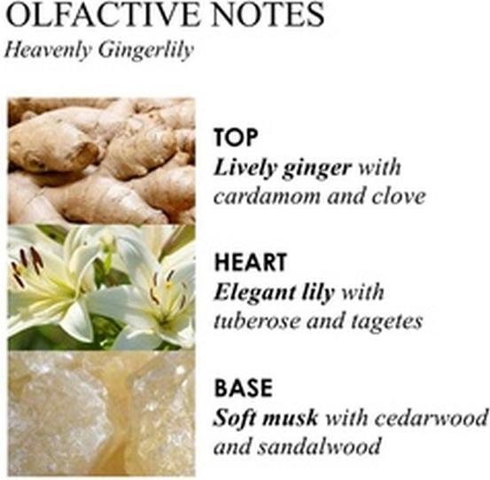 Produktbild Molton Brown Heav Ginger Body Wash (300 ml)