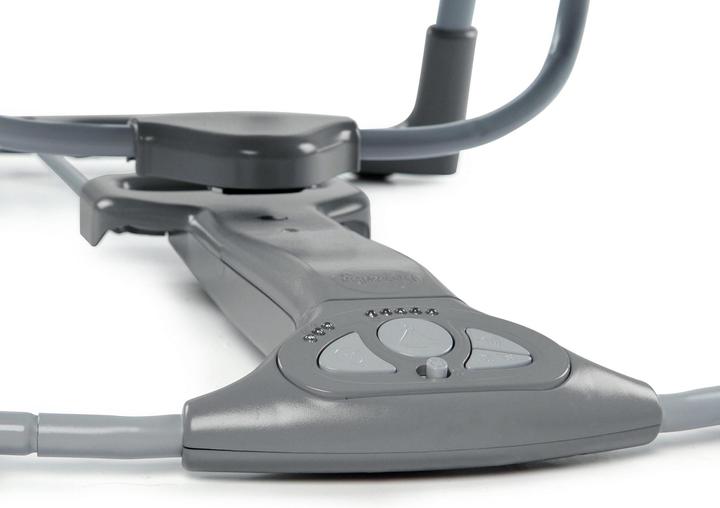 Image du produit Ingenuity Swing