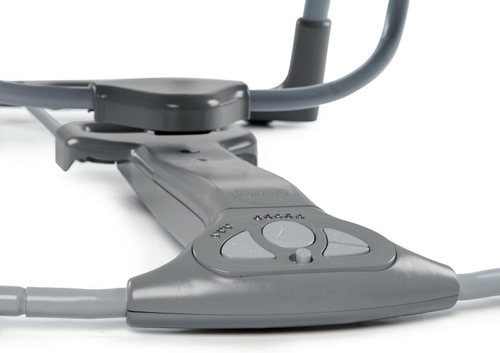 Actual product image Ingenuity Swing