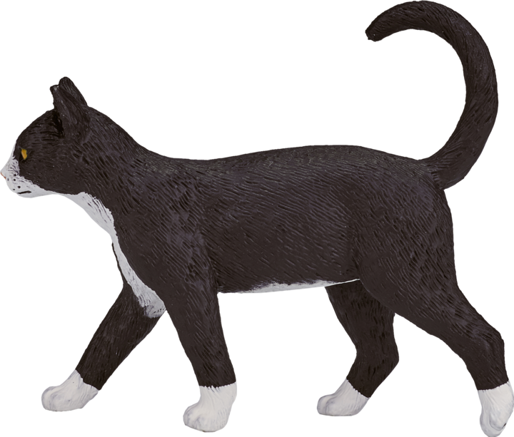 Actual product image Mojo Cat
