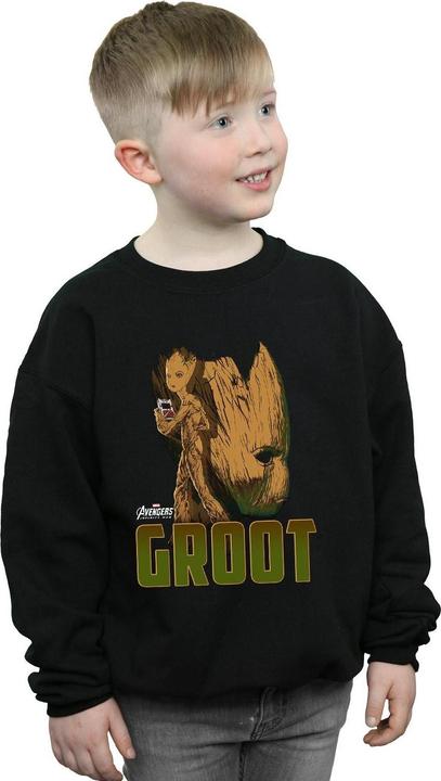 Produktbild Avengers Infinity War Groot Character Sweatshirt Jungen (152, 158)