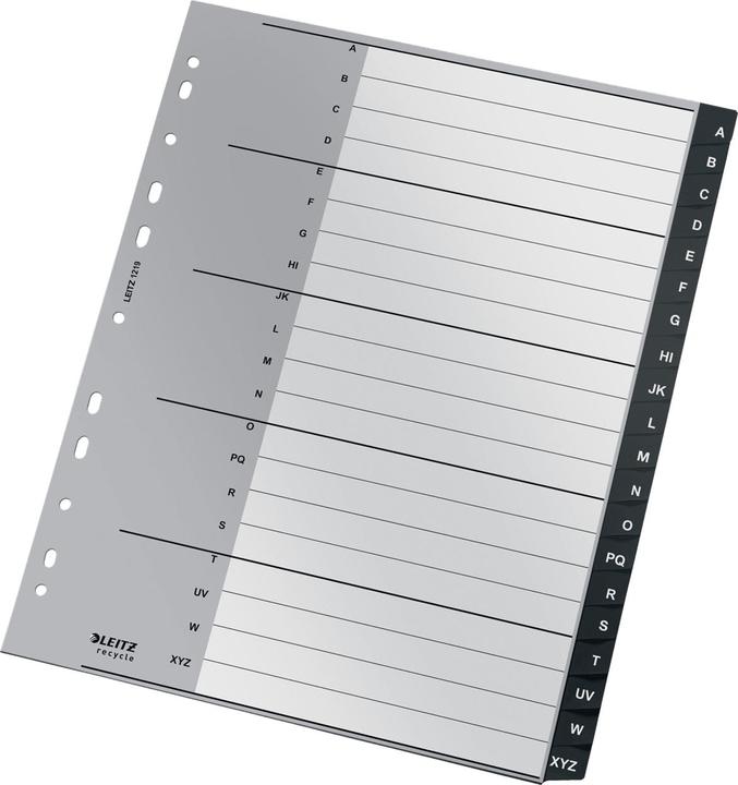 Actual product image Esselte Index book register