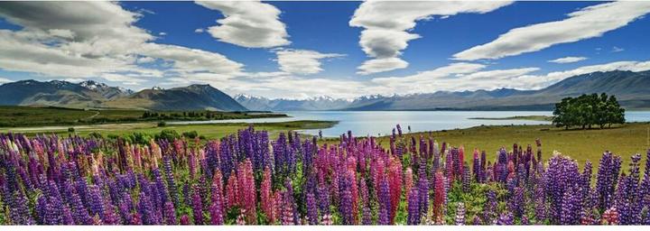 Immagine prodotto Heye Lago Tekapo (1000 pezzi)