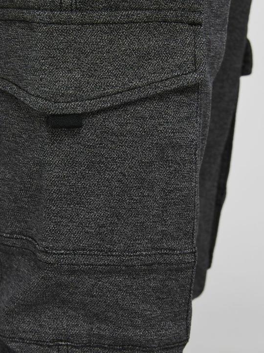 Image du produit Jack & Jones Pantalon cargo Paul Flake Structure (36)