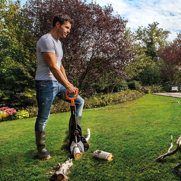 Actual product image Worx WG329E.9 (Battery chain saw)