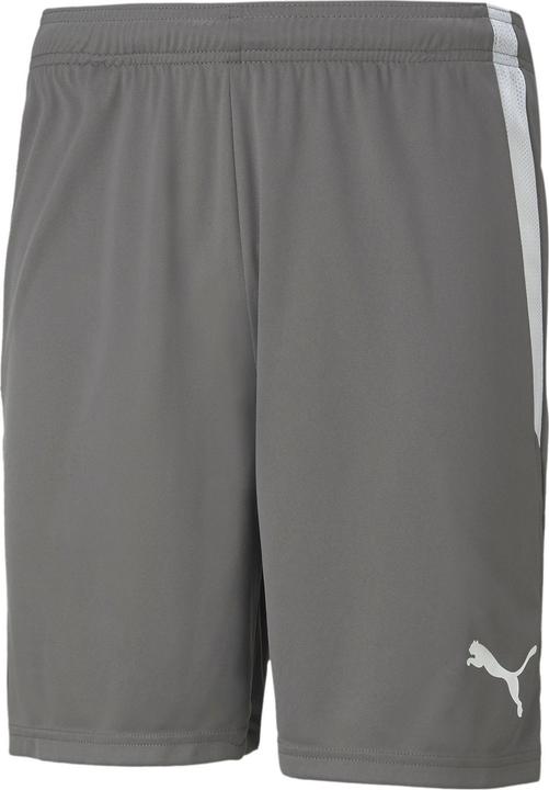Produktbild Puma teamLIGA Shorts-704924 (XL)