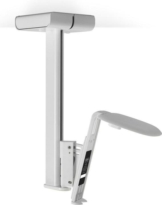 Produktbild Flexson Ceiling Mount for Sonos One & PLAY:1 (1 Stk., Wandmontage, Schwenkbar, Neigbar)