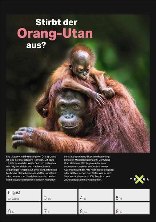 Produktbild Harenberg Terra X - Das Wunder Erde Wochenplaner 2026 (Harter Einband, Deutsch)