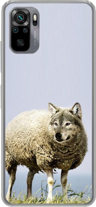 Wolf in sheep's clothing