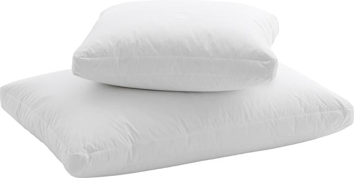 Immagine prodotto Dauny Cuscino SOFT BOX PLUS (65 x 100 cm)