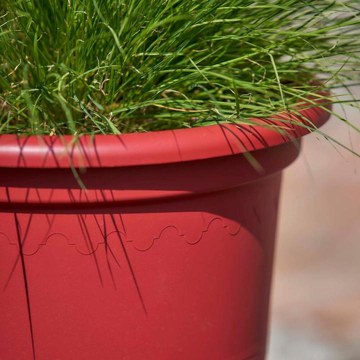 Actual product image Euro3plast Geo (25 cm)